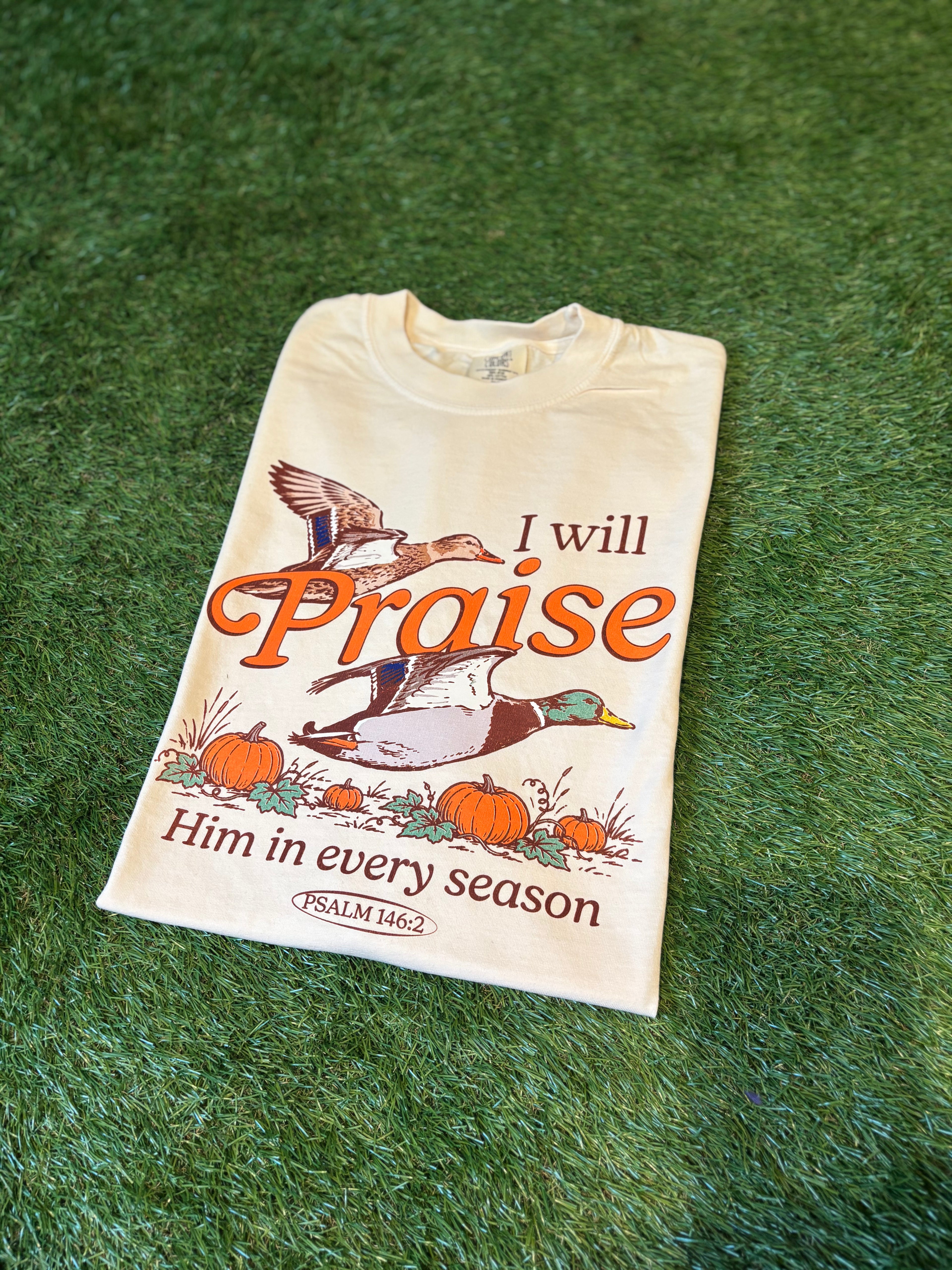 The Praise Him in Every Season Tee